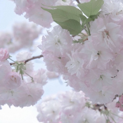 沈河FurryQQ群介绍